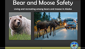 Bear and Moose Safety