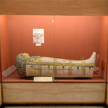 Visit an Egyptian museum